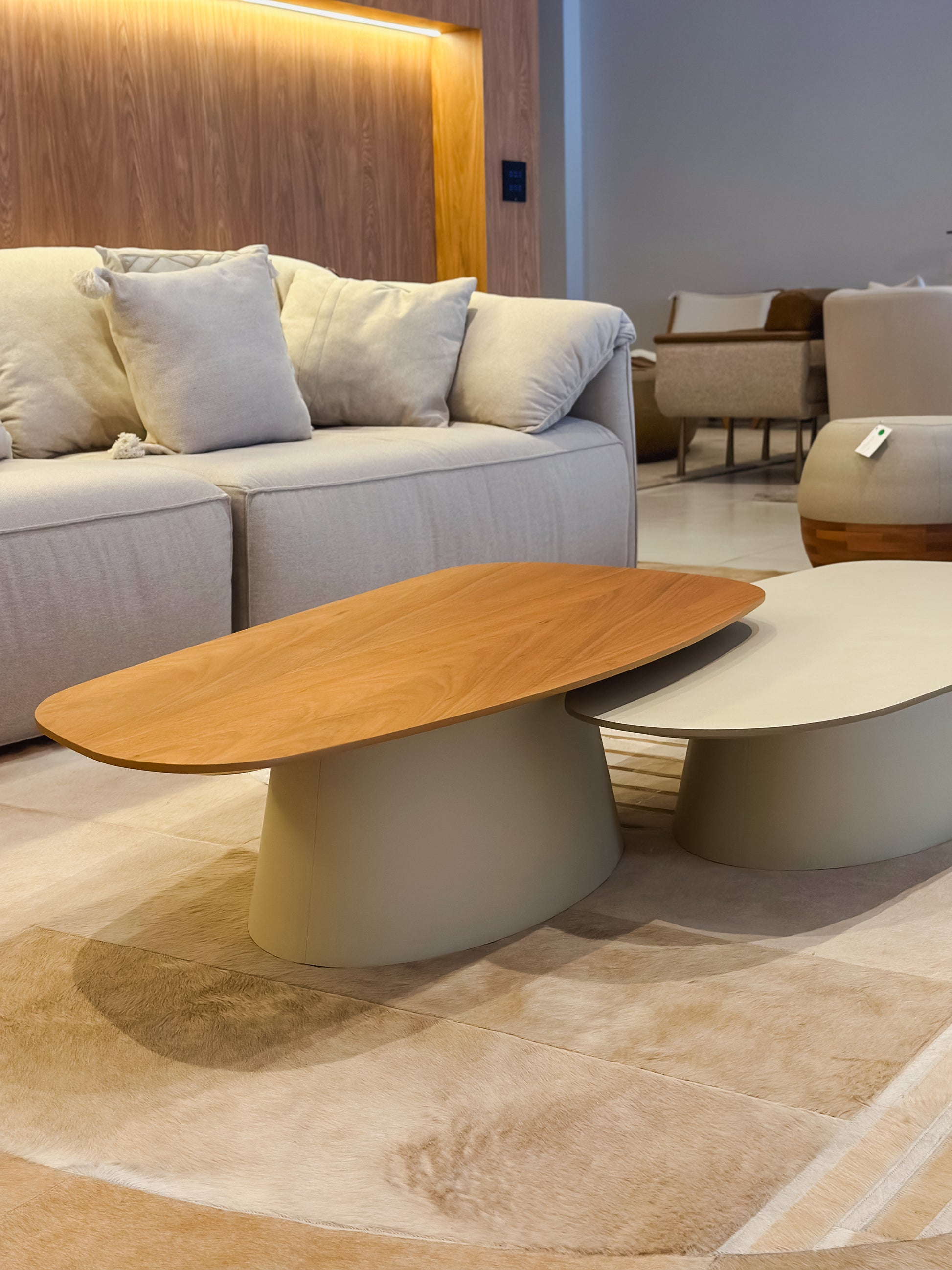 Mesa de Centro Orgânica Omega